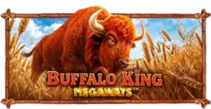 ภาพเกม Buffalo King Megaways ที่ wallbet789 รวบรวมไว้